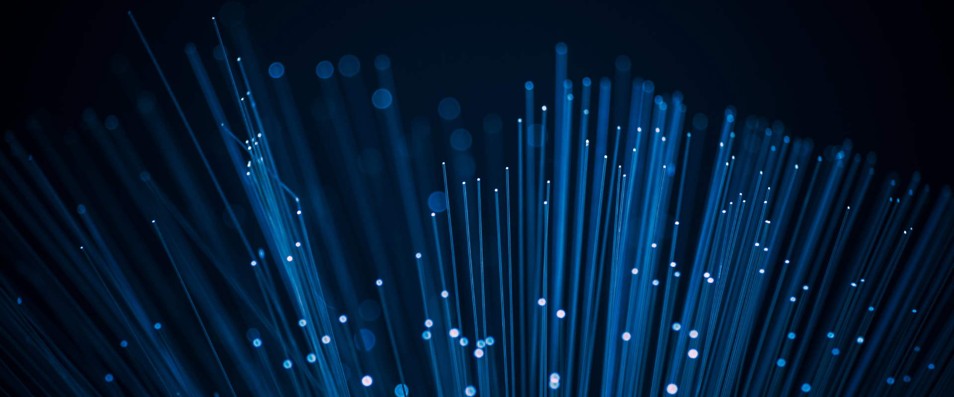 Voice and structured data cabling infrastructure